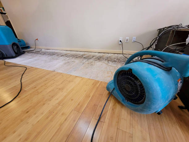 Professional Burst Pipe Water Damage technician working in Cornish, UT